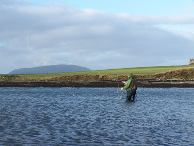 Sea Trout from the Orphir shore photgraph by Jim Adams
